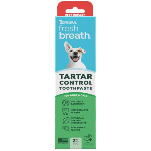 TropiClean Fresh Breath Teeth Cleaning Dog Toothpaste, Beef Brisket, 2oz