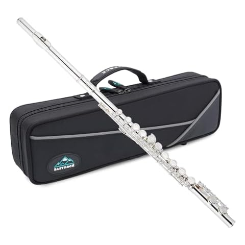 EASTROCK C Flute Instrument, 16 Keys Closed Hole Flute for Beginner, Kids, Student Flute with Carrying Case Stand, Cleaning kit, Gloves, Tuning Rod, Nickel ﻿ Cover