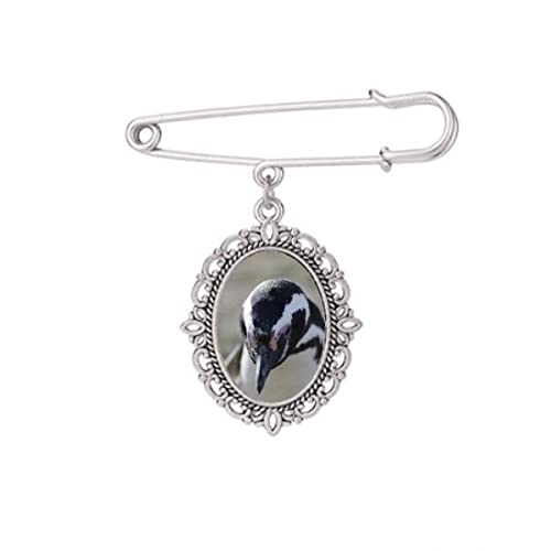 Broche pingouin sciences de la nature M : attache stable pour embellir vos châles
