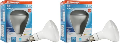 Image of Sylvania Flood BR30 LED Light Bulb, 65W : 9W, Dimmable, 22 Year, 800 Lumens, 5000K, Daylight - 2 Pack (40461)