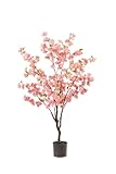 artplants