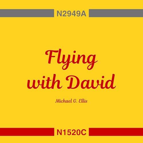 Page de couverture de Flying with David