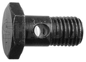 Genuine Volvo 31325709, Hollow Screw (Banjo Bolt)