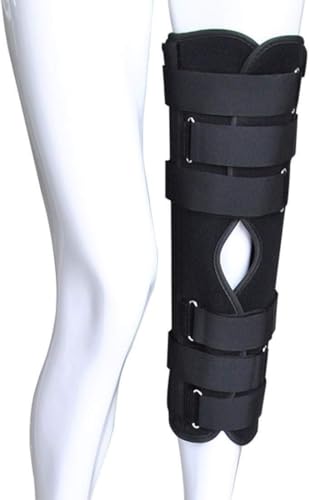 ЂŒMuX qWtG j[u[XT|[gA|×pCrCU[j[T|[gGܐxуN[[VAjXJX̏Q̂߂̐`OȗpK[hveN^[ GWT|[gu[XiSj