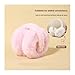 Cute Solid Soft Plush Ear Keep Warmer Winter Earmuffs Women Men Fashion Outdoor Earflap Protection Collapsible Ear Muffs(White)
