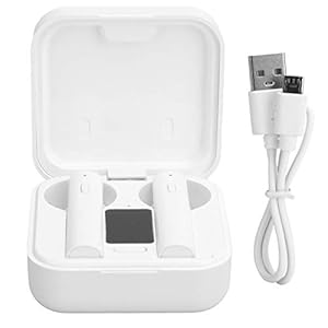Bluetooth 5.0-koptelefoon Echt draadloos in-ear sport-oordopjes met oplaadetui voor zonne-energie Wit