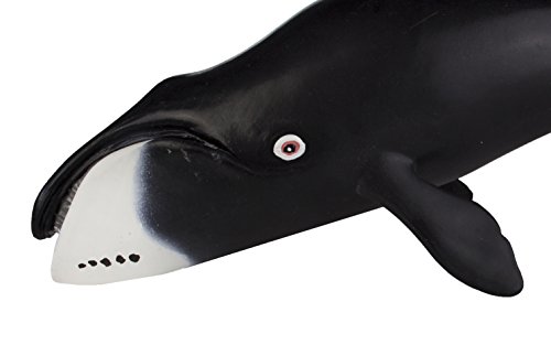 Safari S205529 Bowhead Whale #TOP5