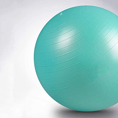 Ballon de fertilité 55cm rose pour soulager le mal de dos