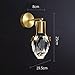 VUBYSG Crystal Wall Light LED Copper Wall Sconce Modern Wall Lamp, Luxury Brass Wall Lighting Fixtures with Animal Decoration for ng Room Bedroom Bedside Hallway Stairs,