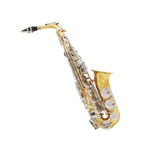 tFbViTbNX EAgTbNX؊ǊyAP[XA[hA}EXs[XA܁Ȃ̕tit