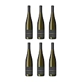 BEURTEILUNG: Der Westhofener Chardonnay trocken von Dreissigacker besticht durch seine elegante Komplexität mit Aromen von Ananas und Mirabelle