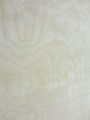 Birch White Wood Veneer 48