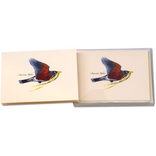 Image of Earth Sky + Water - Robin in Flight Notecard Set - 8 Blank Cards with Envelopes