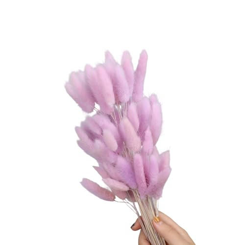 Natural Hare Tails 60Pcs Flores Secas 60cm Decoración miniatura 1