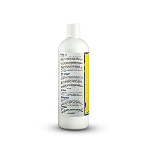 Earthbath Hypoallergenic Dog Shampoo – Pet Shampoo for Sensitive Skin & Allergies, Made in USA – Fragrance Free, 16 oz (Pack of 1) Earthbath Hypoallergenic Dog Shampoo – Pet Shampoo for Sensitive Skin & Allergies, Made in USA – Fragrance Free, 16 oz (Pack of 1)