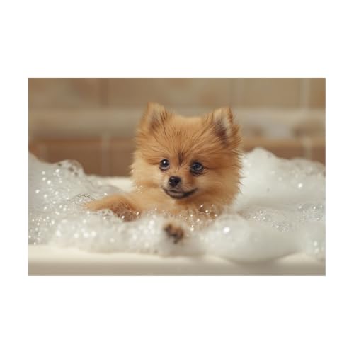 Lienzo de cachorro Pomerania en baño de espuma para llenar de calidez y ternura tu hogar