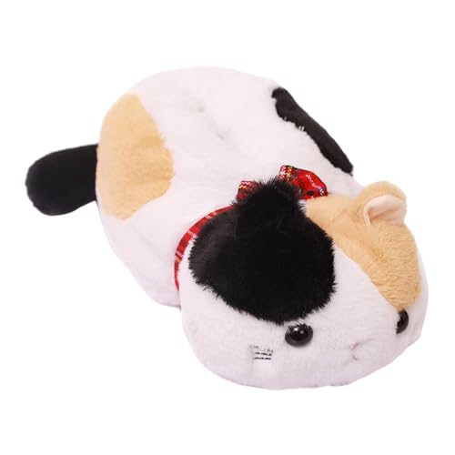 GUOOL ʂݔLԂ̃eBbVz_[eBbV{bNXP[XivL{bNXʂݓ̂eBbVJo[[{bNXԂ̃ItBXp,   