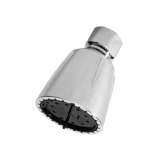Danco 80480 Shower Head, Chrome