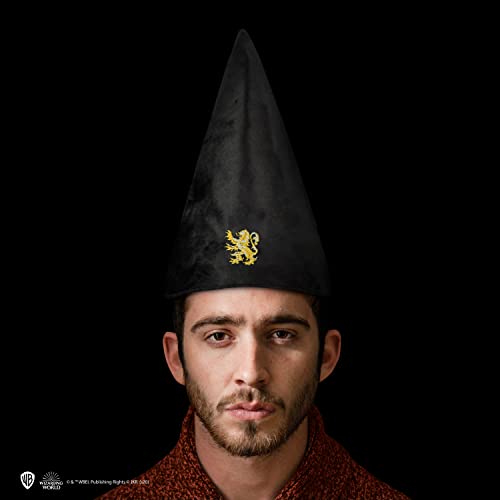Cinereplicas Harry Potter - Cappello da Studente