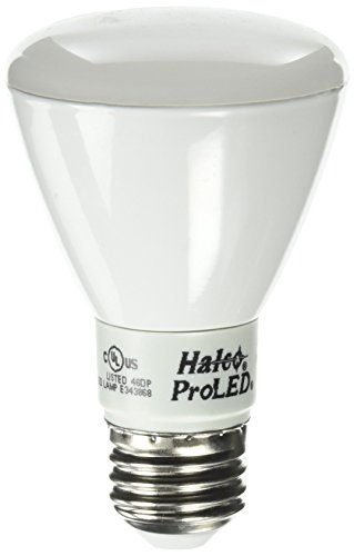 Halco BC3702 80821 - R20FL8/POOL/LED R20 Flood LED Light Bulb