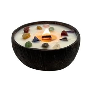 Vie Naturals Handmade Candle in a Natural Coconut Shell, Chakra Gemstones
