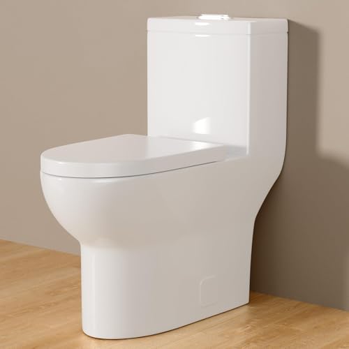Sarlai One Piece Tall Toilet with Soft Seat