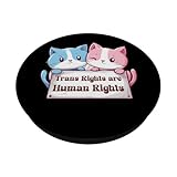 Zoom IMG-1 transgender cats holding sign trans