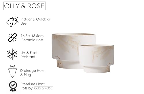 Olly & Rose White with Beige Streaks Ceramic Plant Pot Set 2-16.5,13.5cm Medium Plant Pots Outdoor and Indoor - White Planters - Flower Pots by Olly & Rose - Used condition - Image 4