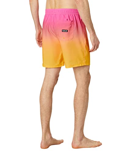 Hurley Men's Cannonball 17" Volley2
