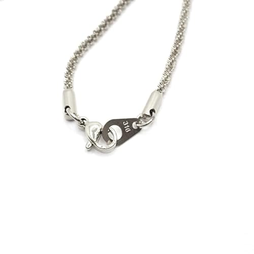 [p[c[h] lbNX `F[ fB[X 316L T[WJXeX [ AM[Ή ] yVo[yyzz40cm 45cm 50cm 60cm Y fB[X ubN K18bL ×pXeX (yz33.N