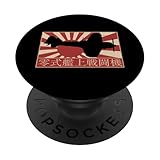 Non compatible avec la charge sans fil.