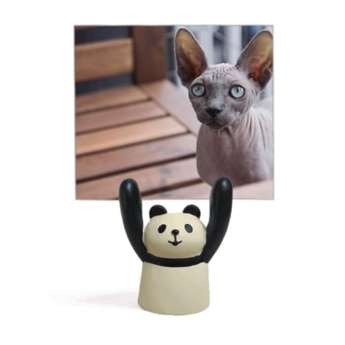 Support photo chat panda dessin animé idée cadeau déco originale pour petits et grands