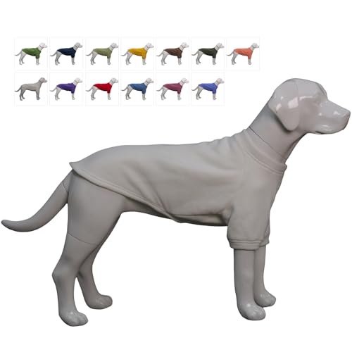 Lovelonglong Sweatshirt Cold Weather Pullover Autumn and Winter T-Shirts for Small Medium Large Size Dogs Off-White 2XL