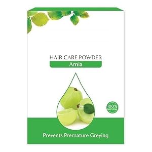 Hair Care Powder Amla All Hair Type 100G 1 Count