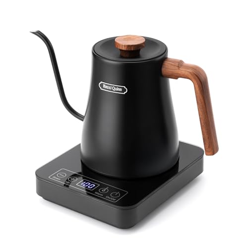 Hazel Quinn Gooseneck Electric Kettle