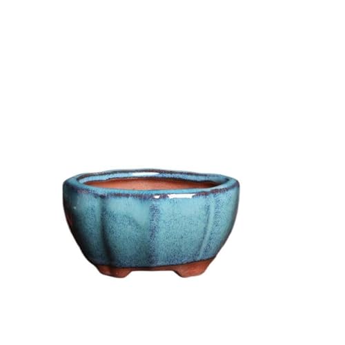 Elevate Your Greenery with Wensmy 2pcs Glaze Bonsai Pots: A 