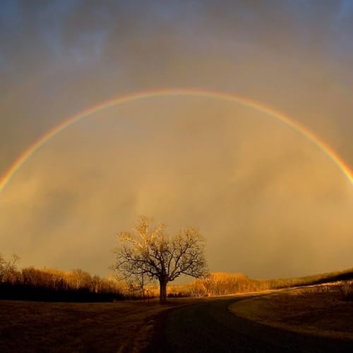 Book Talk Podcast Por RJL arte de portada