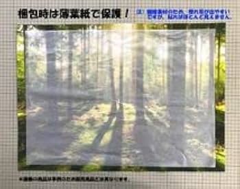 Amazon.co.jp: アルフォンス・ミュシャ ジスモンダ 1894年 サラ