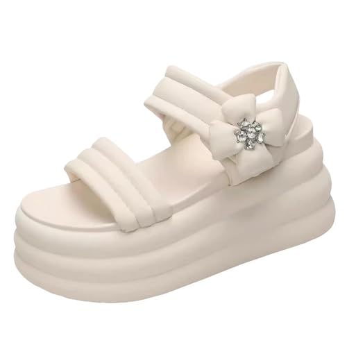 [MTKCNTL] T_  fB[X 8cm q[ XgbvT_ ԕt ₷ ėp gAbv RtH[g Ȃ y ؍ O ʋ ʊw s  傫TCY TCY 22.0-24.5cm (x[W