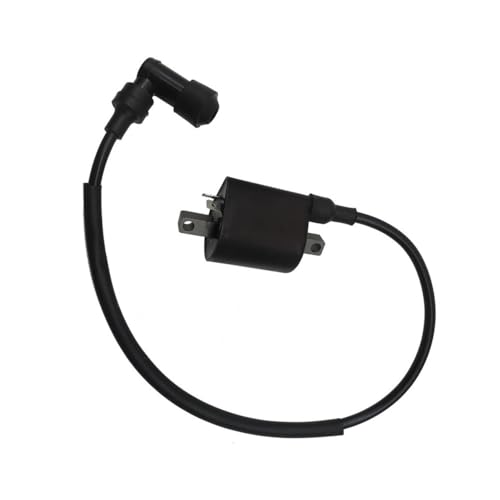 Bobine d'allumage électrique avec câble pour moteurs ATV 300