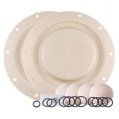 637140-EbAro 637140-Eb Diaphragm Pump Repair Kit, Includes Balls, Diaphragms, Seals