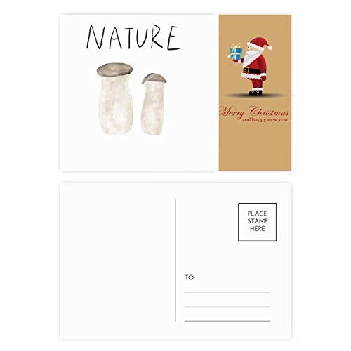 Cartes postales champignon Soloisland idée cadeau pour amateurs de forêt