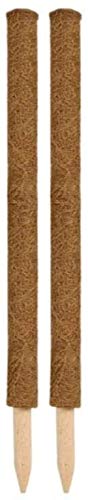Muddy Hands Coconut Coco Pole Indoor Climbing Plant Support Stake Coir Creeper Trellis Frame (2, 1m (100cm))