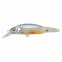 Amazon.co.jp: メガバス(Megabass) ルアー X-80Jr.(X-80ジュニア