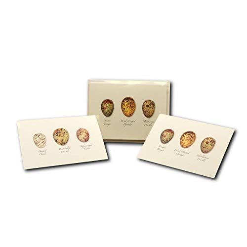 Image of Earth Sky + Water - Bird Egg Assortment II Notecard Set - 8 Blank Cards with Envelopes (4 each of 2 styles)