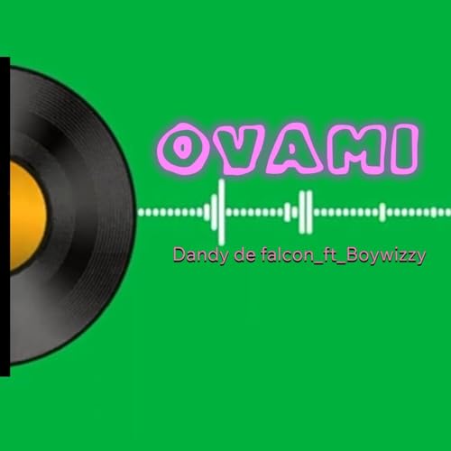  OVAMI