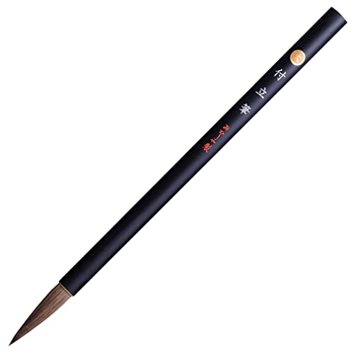  M G莆p tM  AN-01