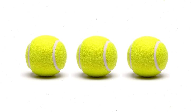 NE NEPTUNE Ultimate Soft Tennis Balls for Youth & Childrens Cricket Games Perfect for Tournaments, Street Matches, and Playing with Pacers Pack of -3 (B0CQPGDVVN) Amazon Price History, Amazon Price Tracker