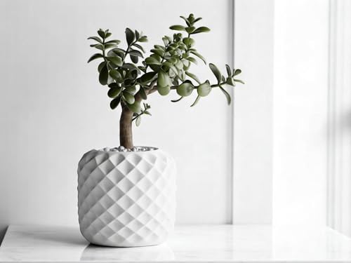 Modern Diamond Pineapple Planter – Round Indoor Plant Pot, Decorative Succulent Container, Minimalist Flower Pot for Home and Office Decor (Pure White, Smaller 5.2" x 4.5")