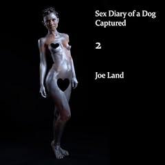 『Captured 2』のカバーアート